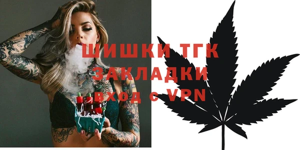 стафф Арсеньев