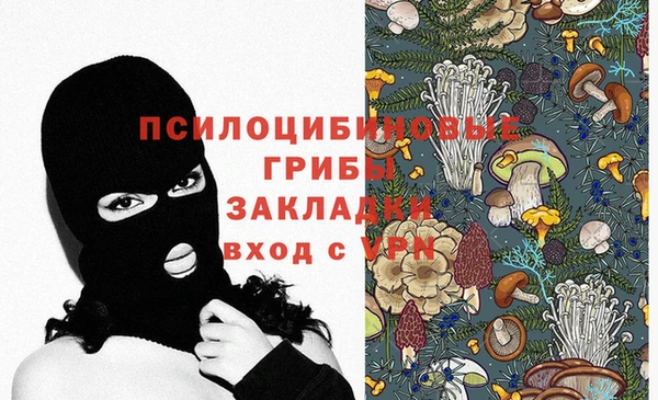 стафф Арсеньев