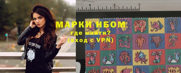 стафф Арсеньев