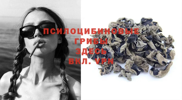 шишки Снежинск