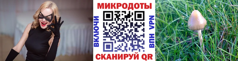 Псилоцибиновые грибы Psilocybe  купить наркотики сайты  мориарти какой сайт  Макаров 